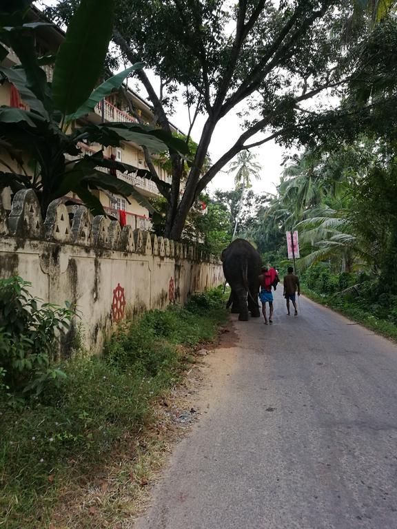 Guesthouse Dilush Beruwala Buitenkant foto
